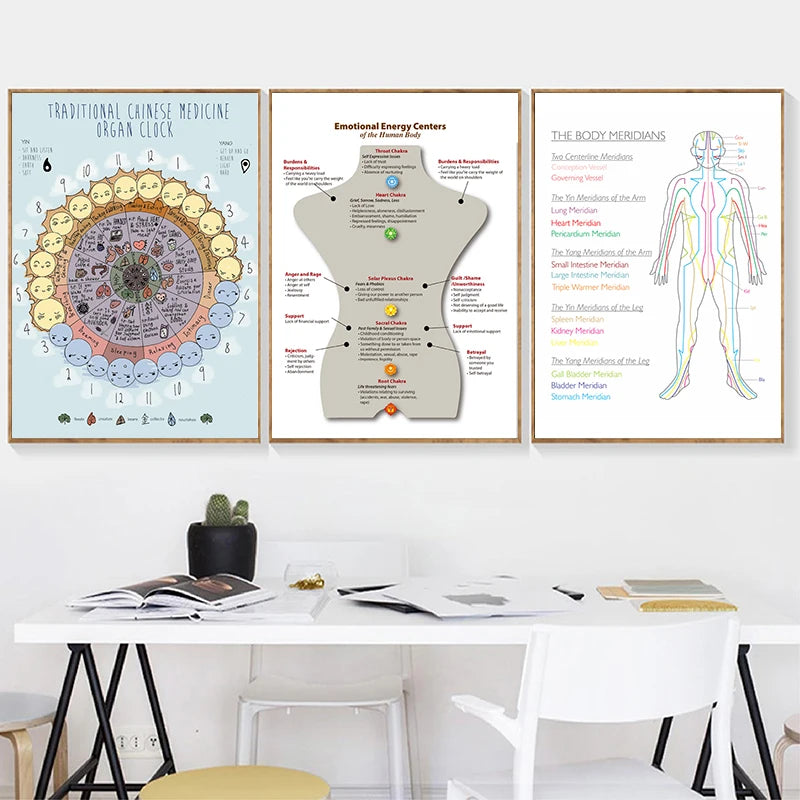 The Body Meridians Poster: Ancient Acupuncture & Energy Pathways Chart