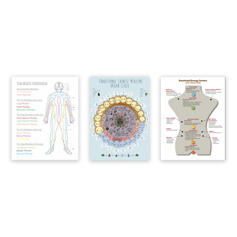 Body’s 12 Meridians & Acupuncture Energy Chart