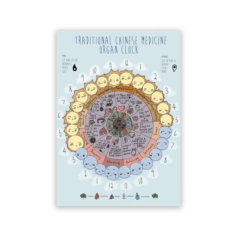 The Body Meridians Poster: Ancient Acupuncture & Energy Pathways Chart
