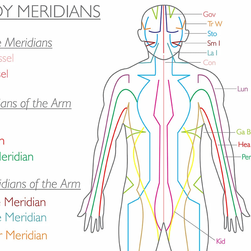 The Body Meridians Poster: Ancient Acupuncture & Energy Pathways Chart