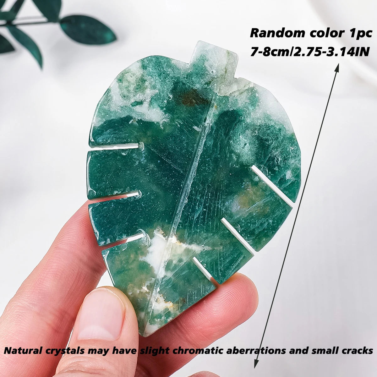 ✧ Moss Agate Leaf | The Evergreen Covenant