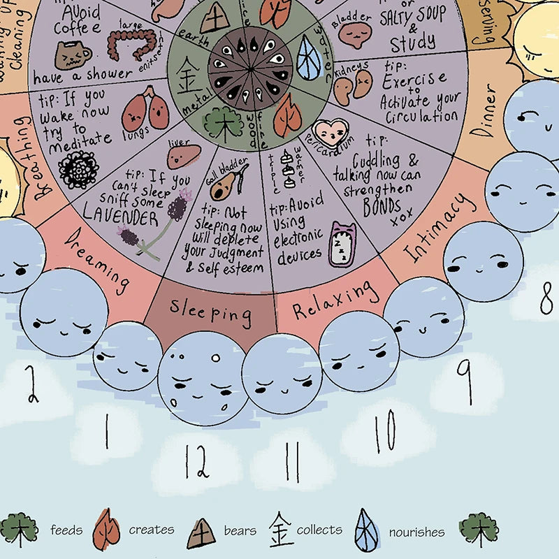 The Body Meridians Poster: Ancient Acupuncture & Energy Pathways Chart