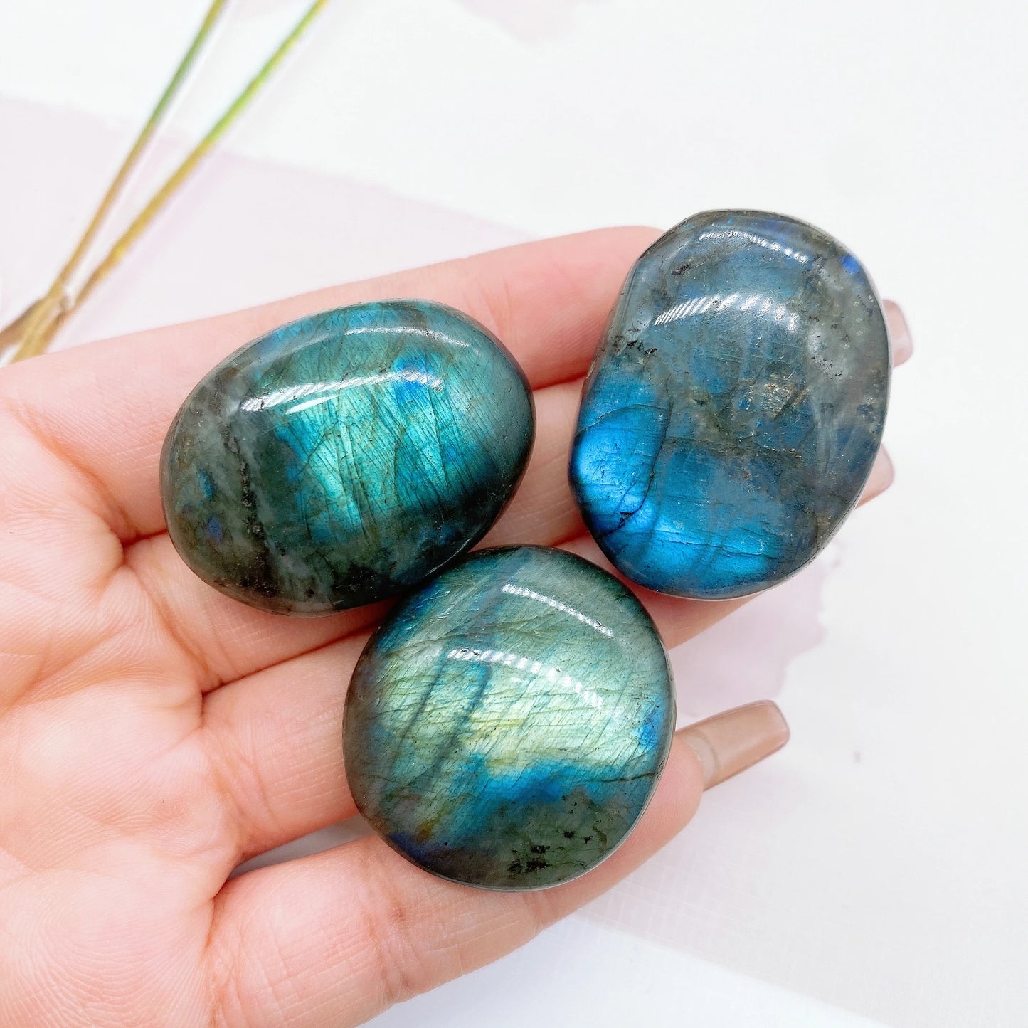 ✧ Labradorite Palm Stone | Frozen Lightning of the Ancients
