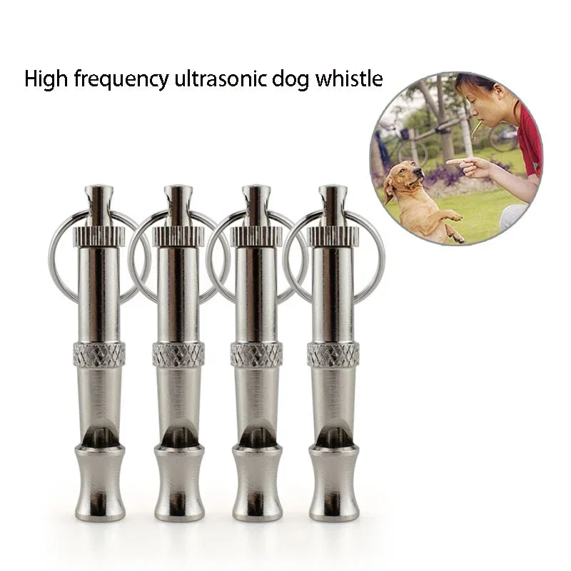 Stainless Steel Canine Commander | The Silent Frequency Enforcer