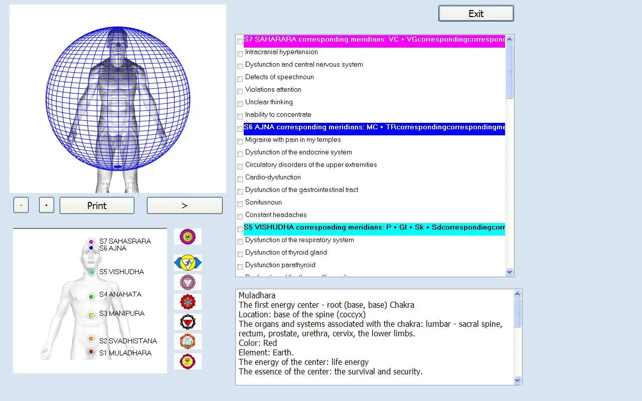 BioPlasm Aura & Chakra Scanner & Total Body Health Analyzer