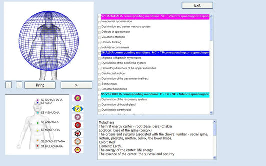 18D CELL NLS Aura Chakra Iris Health Scanner – Advanced Non-Linear Body Analyzer